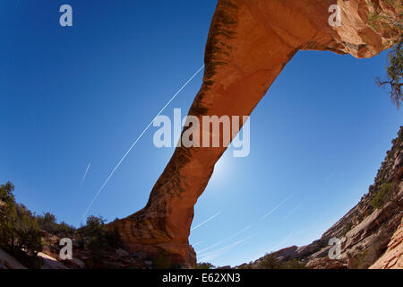 Owachomo Natural Bridge und Jet Kondensstreifen am Himmel, Natural Bridges National Monument, Utah, USA Stockfoto