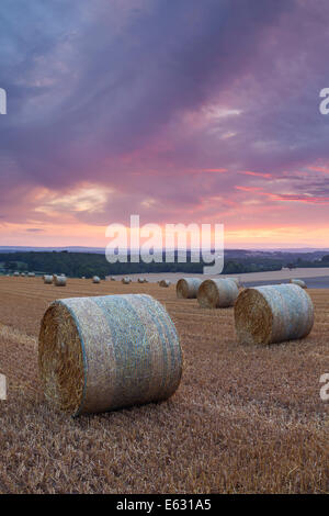 Heuballen auf den South Downs in der Nähe von Lewes, East Sussex, England, UK Stockfoto