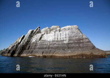 Irland Skellig Inseln. Little Skellig mit Irlands größten Tölpel Bevölkerung. Stockfoto