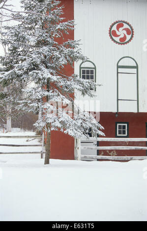 SCHEUNE IM WINTER MIT TANNE UND ROTEN HEX-ZEICHEN Stockfoto