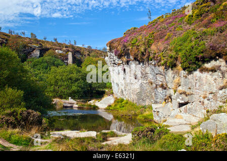 Die Überreste der Haytor Granitsteinbruch auf Dartmoor, Devon, England, UK Stockfoto