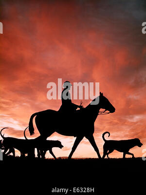 1970ER JAHRE SILHOUETTE ANONYME MANN REITEN REITEN MIT FOXHOUND HUNDE AUF FUCHSJAGD Stockfoto