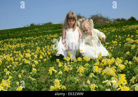 Zwei Mädchen, 7 und 2 Jahre tragen Sommerkleider, in einem Feld von Schlüsselblume, Schweden Stockfoto