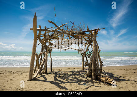 Treibholz-Bau, Naturstrand in Albarese, natürlichen Park der Maremma bei Grosseto, Toskana, Italien Stockfoto