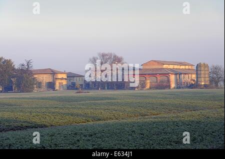 Agrarlandschaft in der Nähe von Brescello Dorf (Reggio Emilia, Italien) Stockfoto