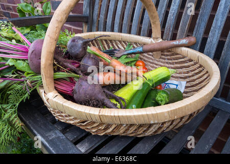 9. August 2014. Eine Trug voll von frisch geerntetem Obst und Gemüse und kleinen Graden Graben Gabel auf einer Gartenbank. Stockfoto