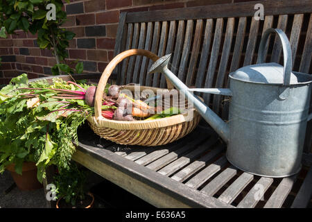 9. August 2014. Eine Trug voll von frisch geerntetem Obst und Gemüse und kleinen Graden Graben Gabel auf einer Gartenbank. Stockfoto