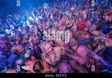 Festivalbesucher werfen Farbpulver auf dem Belladrum Tartan Herz Festival. Inverness, Schottland 2014 Stockfoto