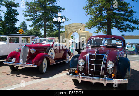 Oldtimer auf dem Display während der Tremains Art-Déco-Wochenende in Napier in der Hawke Bay Region, Nordinsel, Neuseeland. Stockfoto