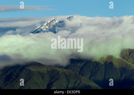 Ein Hochwinkelblick zeigt schneebedeckte Berggipfel, die aus einer dicken Schicht weißer Wolken auftauchen. Unterhalb der Wolken erstrecken sich sanfte grüne Hügel mit dichter Vegetation über den Vordergrund. Der Himmel Stockfoto