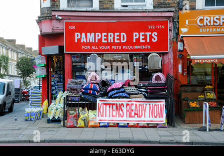 Verwöhnte Haustiere Haustier Shop, Holloway Road, London Borough of Islington England Großbritannien UK Stockfoto