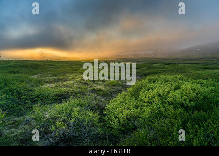 Nebligen Abend mit der Mitternachtssonne, Eyjafjordur, Northern Island Stockfoto