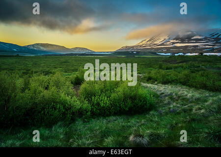 Nebligen Abend mit der Mitternachtssonne, Eyjafjordur, Northern Island Stockfoto