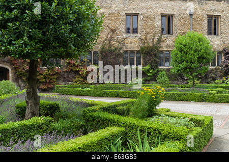 Formale Gärten auf dem Gelände des Emmanuel College in Cambridge, UK Stockfoto