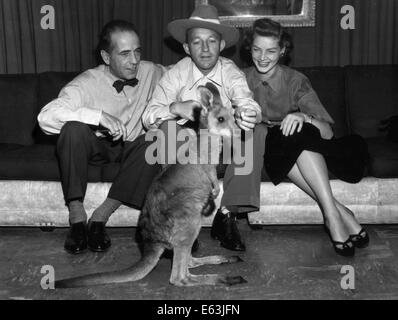 UNS. 13. August 2014. Datei-PIX: LAUREN BACALL (Sept. 16, 1924 - 12. August 2014) geboren Betty Joan Perske, war eine US-amerikanische Film- und Theaterschauspielerin und Modell, bekannt für ihre unverwechselbaren rauchigen Stimme und schwül sieht. Sie tauchte erstmals als Hauptdarstellerin in der Humphrey Bogart-Film-Noir-Filme von 1940, sowie komödiantische Rollen in "Wie einen Millionär zu heiraten" (1953) und "Gestaltung Frau" (1957). Bacall habe auch Broadway-Musicals, gewann Tony Awards für "Applaus" im Jahr 1970 und "Woman of the Year" im Jahr 1981. Bildnachweis: ZUMA Press, Inc./Alamy Live-Nachrichten Stockfoto