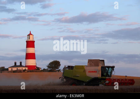 Happisburgh, Norfolk, Großbritannien. 13. August 2014. Bauern-Rennen zu bringen in die Ernte des Weizens, nach heftigen vor kurzem Regenfällen getroffen die Grafschaft & stark verzögerte Ernte. Hier ist ein Claas Lexion 760 TT vor Happisburgh Leuchtturm bei Sonnenuntergang ernten. Bildnachweis: Paul Lilley/Digitalshot/Alamy Live-Nachrichten Stockfoto