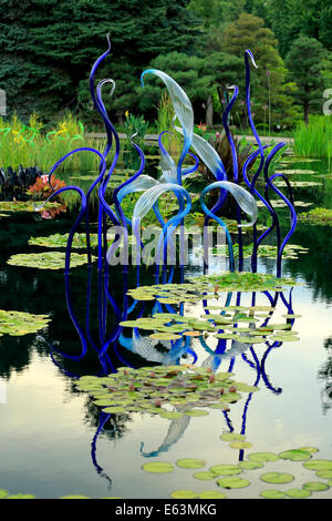 Detail der "Monet Pool Fiori" Glasskulptur von Dale Chihuly, Monet Pool, Denver Botanic Gardens, Denver, Colorado USA Stockfoto