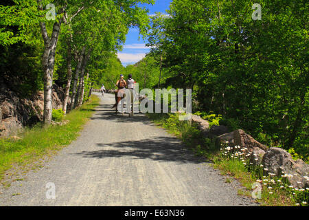 Jordanien - Blase Teiche Beförderung Schleife befahrbare Straße in der Nähe von Deer Bach Brücke, Acadia National Park, Maine, USA Stockfoto