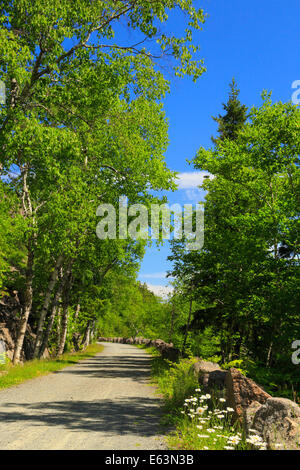 Jordanien - Blase Teiche Beförderung Schleife befahrbare Straße in der Nähe von Deer Bach Brücke, Acadia National Park, Maine, USA Stockfoto