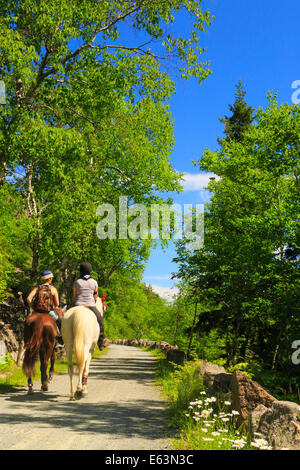 Jordanien - Blase Teiche Beförderung Schleife befahrbare Straße in der Nähe von Deer Bach Brücke, Acadia National Park, Maine, USA Stockfoto