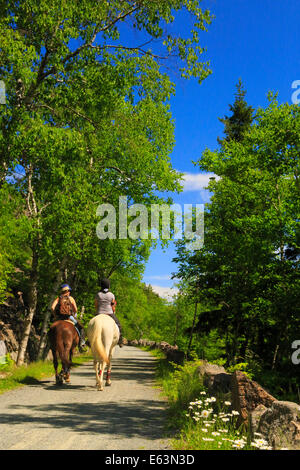 Jordanien - Blase Teiche Beförderung Schleife befahrbare Straße in der Nähe von Deer Bach Brücke, Acadia National Park, Maine, USA Stockfoto