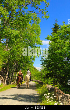 Jordanien - Blase Teiche Beförderung Schleife befahrbare Straße in der Nähe von Deer Bach Brücke, Acadia National Park, Maine, USA Stockfoto