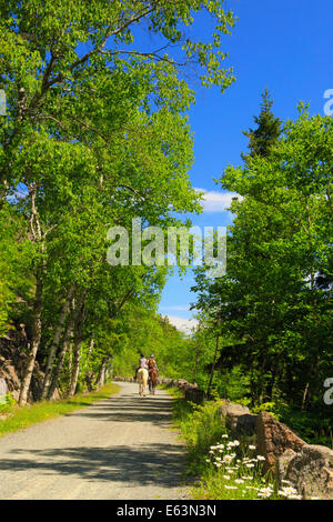 Jordanien - Blase Teiche Beförderung Schleife befahrbare Straße in der Nähe von Deer Bach Brücke, Acadia National Park, Maine, USA Stockfoto