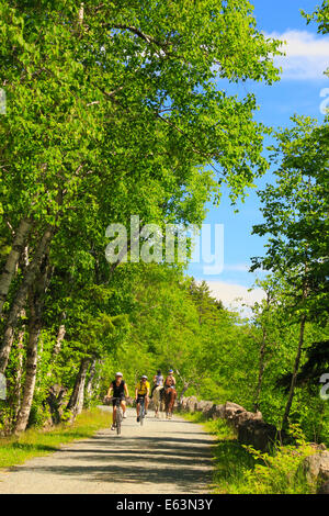 Jordanien - Blase Teiche Beförderung Schleife befahrbare Straße in der Nähe von Deer Bach Brücke, Acadia National Park, Maine, USA Stockfoto