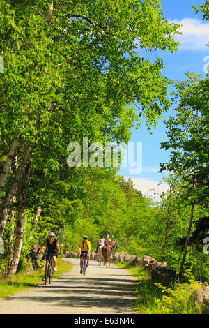 Jordanien - Blase Teiche Beförderung Schleife befahrbare Straße in der Nähe von Deer Bach Brücke, Acadia National Park, Maine, USA Stockfoto