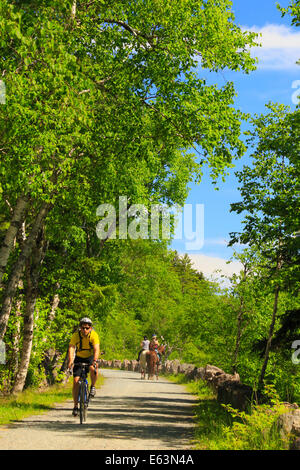 Jordanien - Blase Teiche Beförderung Schleife befahrbare Straße in der Nähe von Deer Bach Brücke, Acadia National Park, Maine, USA Stockfoto