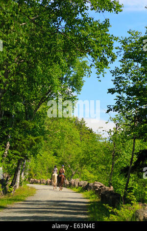 Jordanien - Blase Teiche Beförderung Schleife befahrbare Straße in der Nähe von Deer Bach Brücke, Acadia National Park, Maine, USA Stockfoto