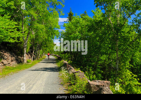 Jordanien - Blase Teiche Beförderung Schleife befahrbare Straße in der Nähe von Deer Bach Brücke, Acadia National Park, Maine, USA Stockfoto