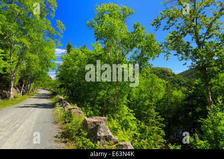 Jordanien - Blase Teiche Beförderung Schleife befahrbare Straße in der Nähe von Deer Bach Brücke, Acadia National Park, Maine, USA Stockfoto