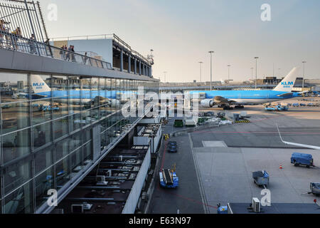 Eine KLM-Flugzeug ist im Flughafen Schiphol in Amsterdam, Holland, Europa gestoppt. Stockfoto