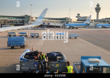 Umgang mit Gepäck für einen KLM-Flug im Flughafen Schiphol, Holland, Europa Stockfoto