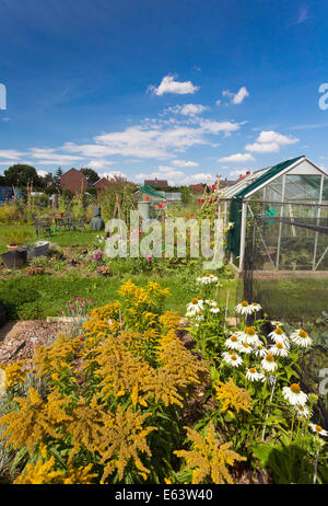 Kleingärten in Walsham-Le-Willows, Suffolk, UK Stockfoto