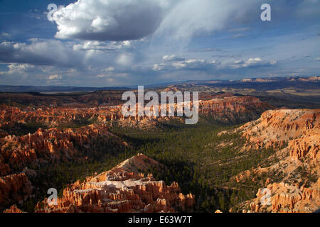 Hoodoos gesehen von Bryce Point, Bryce-Canyon-Nationalpark, Utah, USA Stockfoto