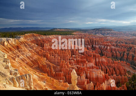 Hoodoos im Bryce Amphitheater, gesehen vom Inspiration Point, Bryce-Canyon-Nationalpark, Utah, USA Stockfoto