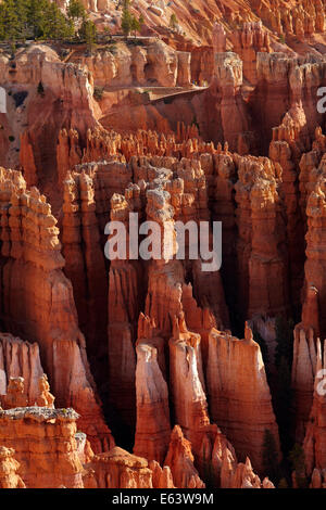 Hoodoos im Bryce Amphitheater, Blick auf den Sunset Point und Navaho Trail, Bryce-Canyon-Nationalpark, Utah, USA Stockfoto