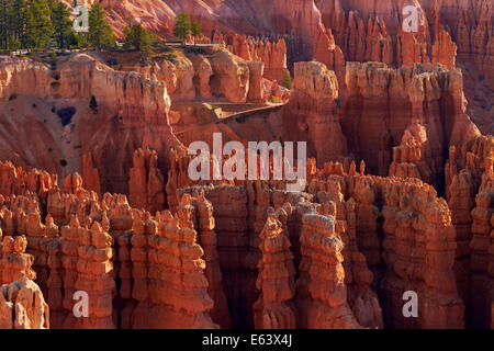 Blick vom Inspiration Point über Hoodoos Sunset Point und Navajo Loop Trail, Bryce-Canyon-Nationalpark, Utah, USA Stockfoto