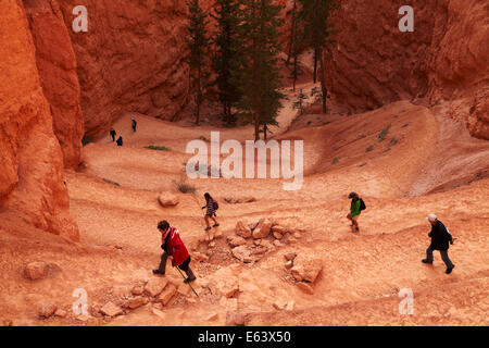 Wanderer auf Zick-Zack-Abschnitt der Navajo Loop Trail, Bryce-Canyon-Nationalpark, Utah, USA Stockfoto