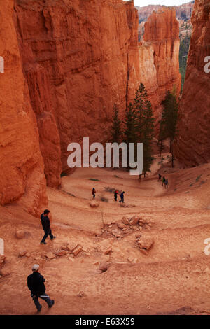 Wanderer auf Zick-Zack-Abschnitt der Navajo Loop Trail, Bryce-Canyon-Nationalpark, Utah, USA Stockfoto