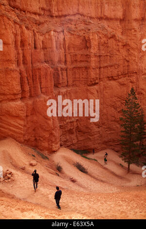 Wanderer auf Zick-Zack-Abschnitt der Navajo Loop Trail, Bryce-Canyon-Nationalpark, Utah, USA Stockfoto