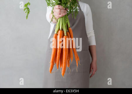 eine Frau trägt eine Schürze hält einen frischen Haufen Bio-Karotten Stockfoto