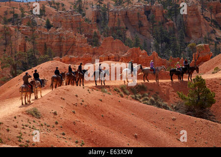 Pferd-Wanderer in der Nähe von Queens Garden Trail durch Hoodoos, Bryce-Canyon-Nationalpark, Utah, USA Stockfoto