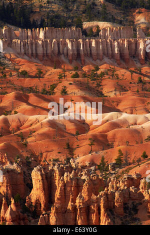 Hoodoos gesehen von Bryce Point, Bryce-Canyon-Nationalpark, Utah, USA Stockfoto