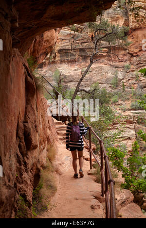 Wanderer im Überhang auf Canyon Overlook Trail, Zion Nationalpark, Utah, USA Stockfoto