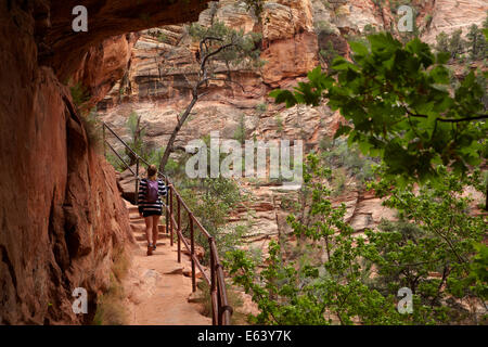 Wanderer im Überhang auf Canyon Overlook Trail, Zion Nationalpark, Utah, USA Stockfoto