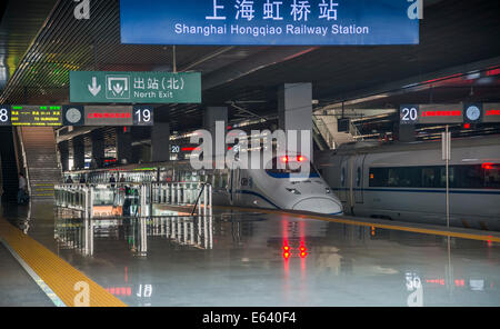 Express-Zug, CRH, an der Plattform, Hongqiao Railway Station, Shanghai, China Stockfoto