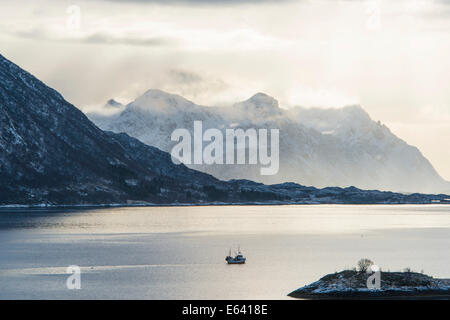 Fjord im Winter Austnesfjorden Fjord, Vagan, Lofoten, Norwegen Stockfoto